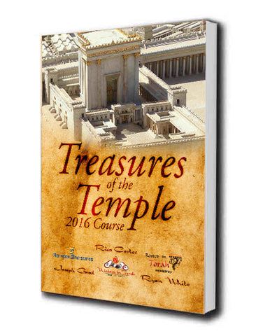 Treasures of the Temple 101 Extra Workbook