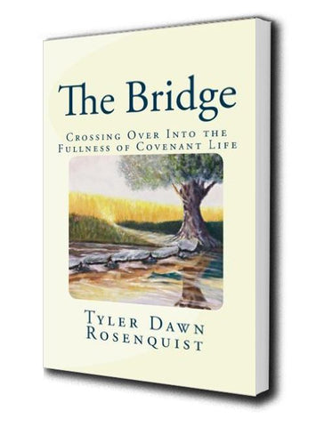 Books - The Bridge