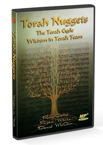 Teaching - Torah Nuggets